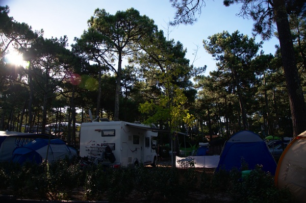 Schattiger Campingplatz