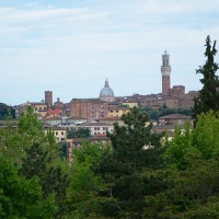 Blick Richtung Innenstadt von Siena