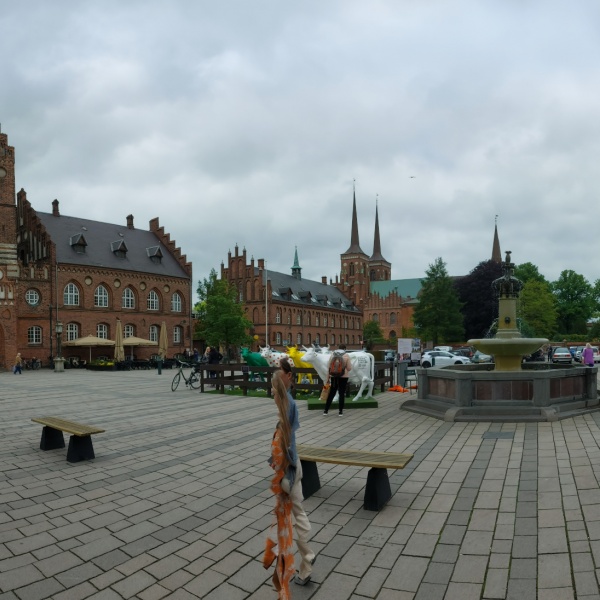 Altes Rathaus in Roskilde