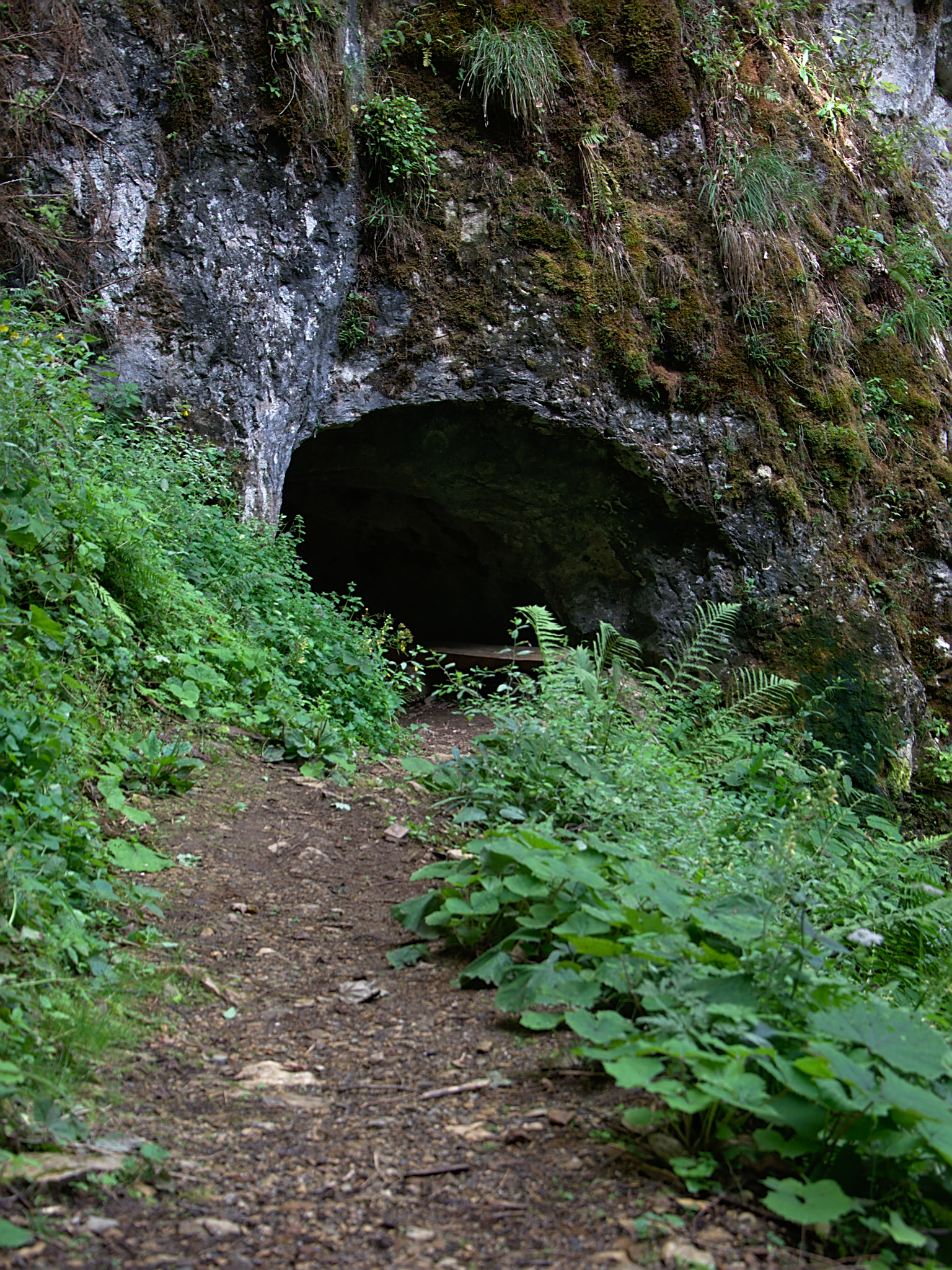 Odelsteinhöhle Rundweg